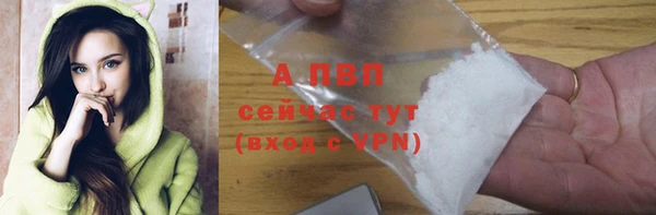 ECSTASY Майский