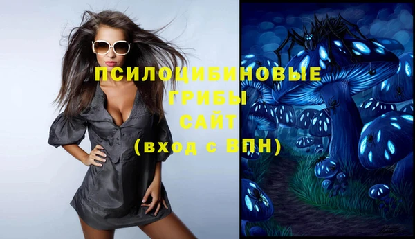 ECSTASY Майский